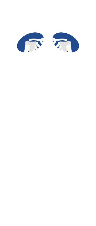 shoulder
